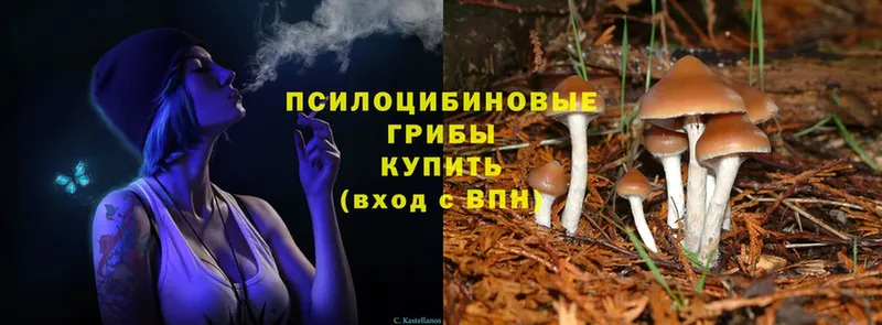 купить наркоту  Бокситогорск  Галлюциногенные грибы Magic Shrooms 